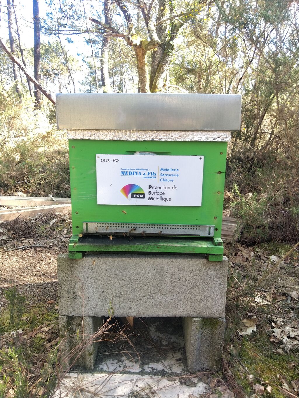 La ruche MEDINA ET FILS