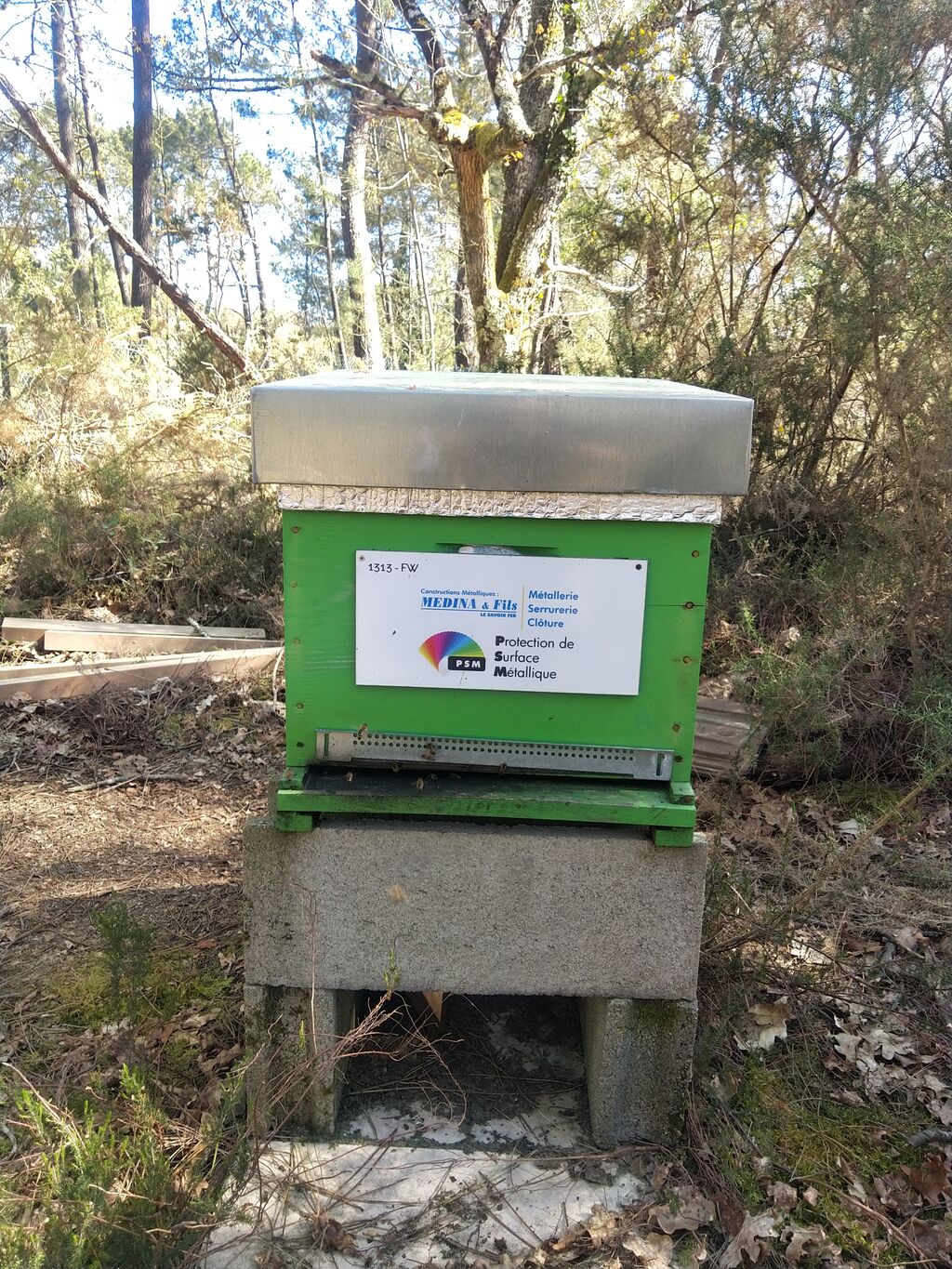 La ruche MEDINA ET FILS