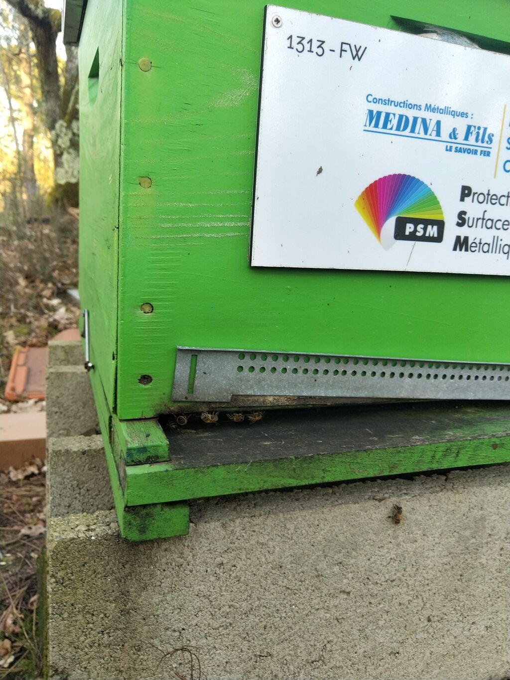 La ruche MEDINA ET FILS