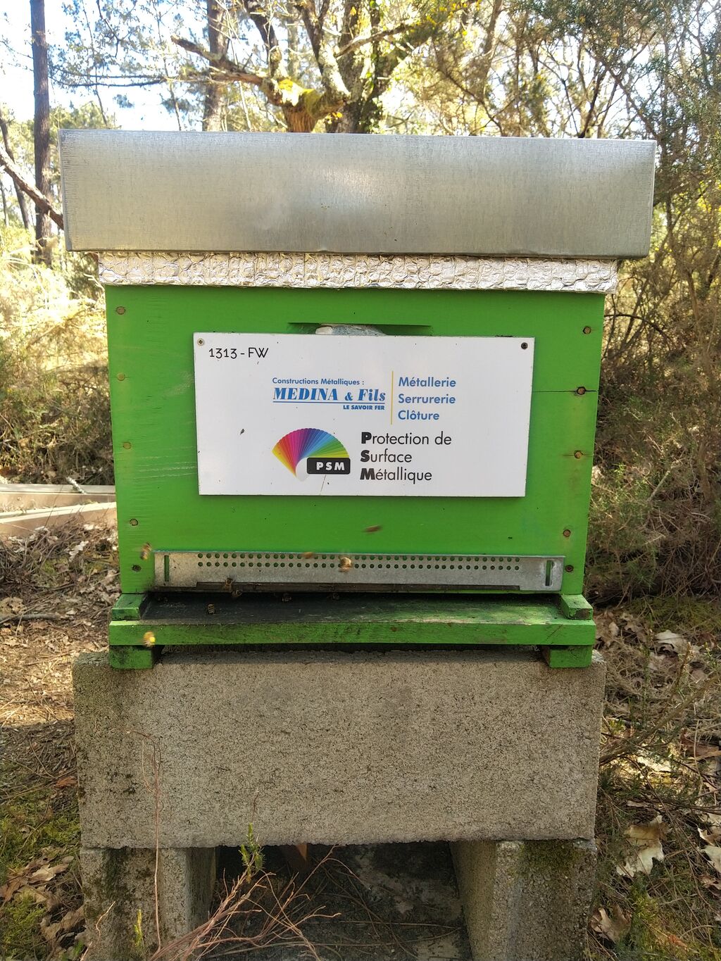 La ruche MEDINA ET FILS