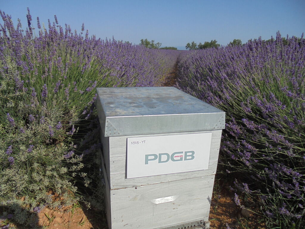 La ruche PDGB Avocats