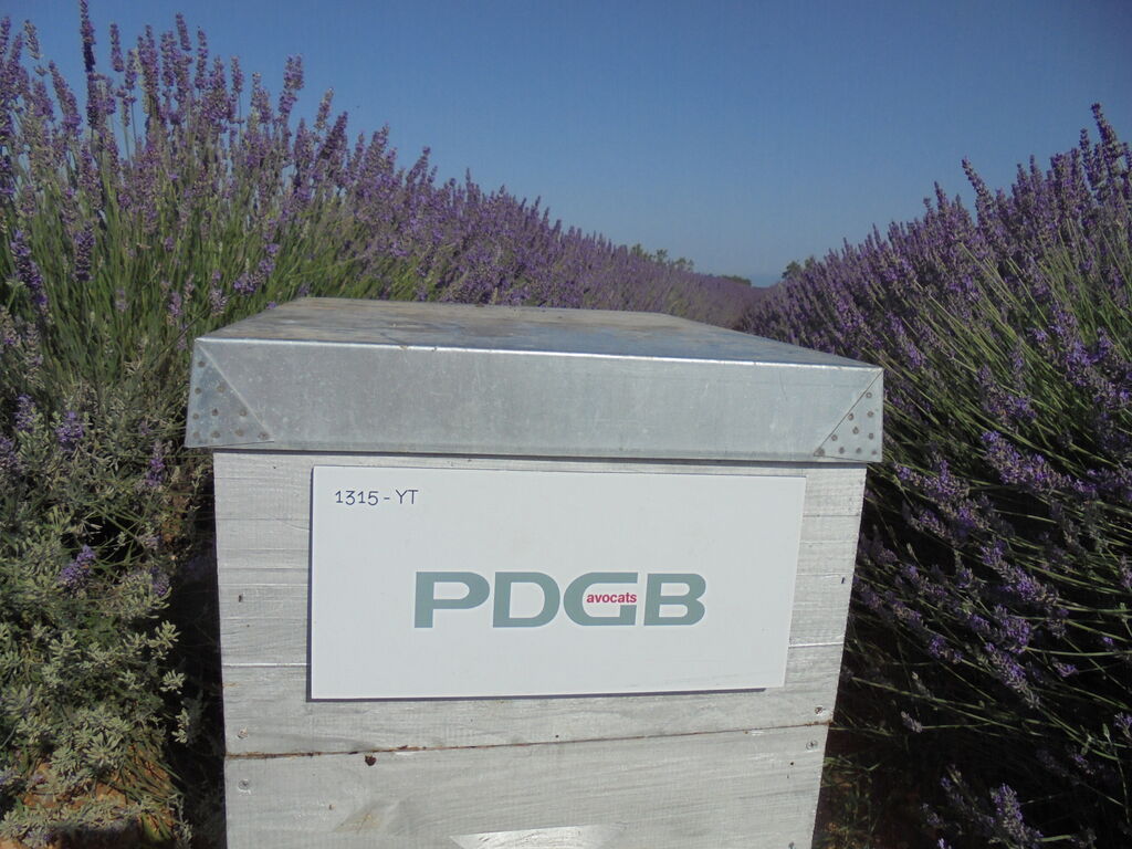 La ruche PDGB Avocats