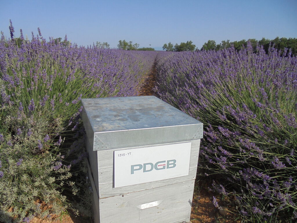 La ruche PDGB Avocats