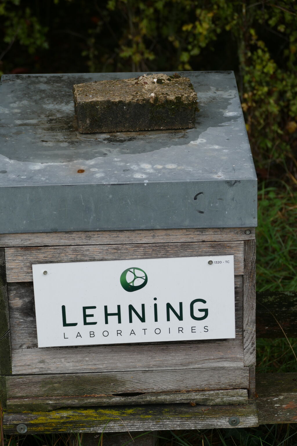 La ruche LABORATOIRES LEHNING