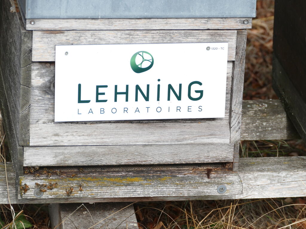 La ruche LABORATOIRES LEHNING