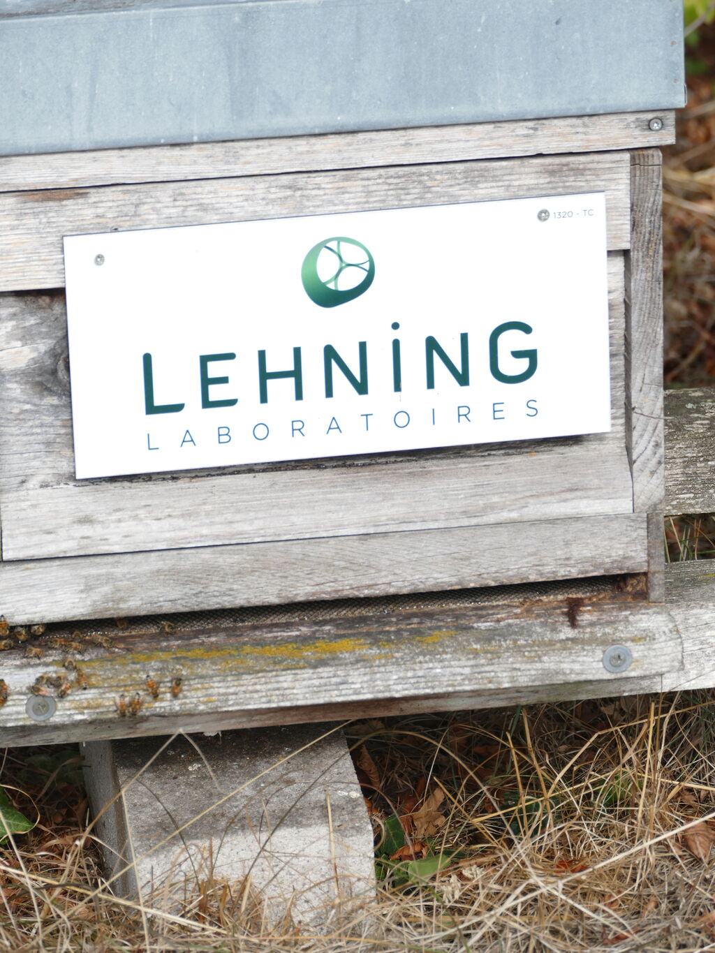 La ruche LABORATOIRES LEHNING