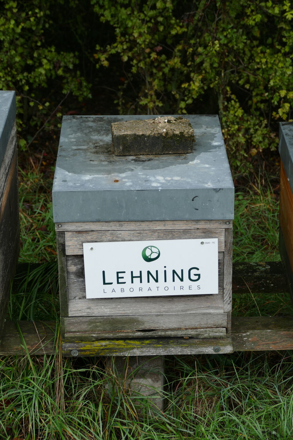 La ruche LABORATOIRES LEHNING