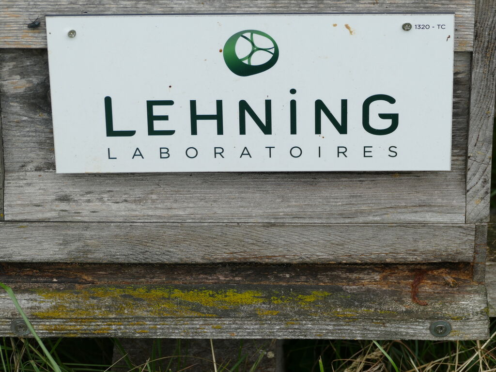 La ruche LABORATOIRES LEHNING 