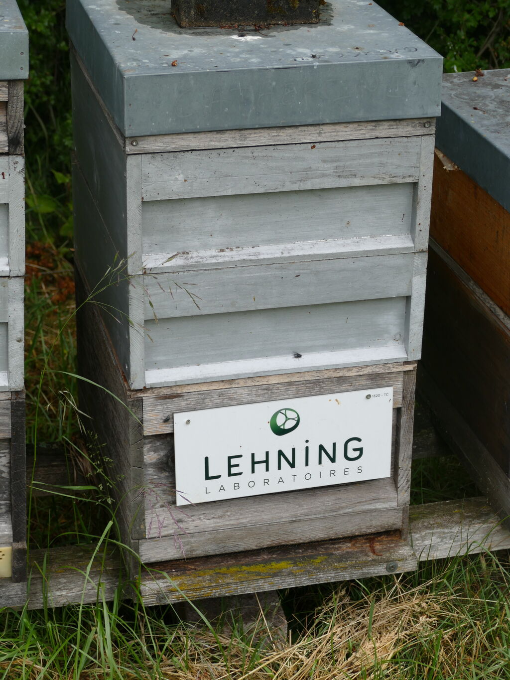La ruche LABORATOIRES LEHNING 