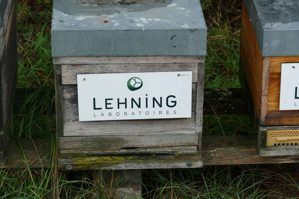La ruche LABORATOIRES LEHNING