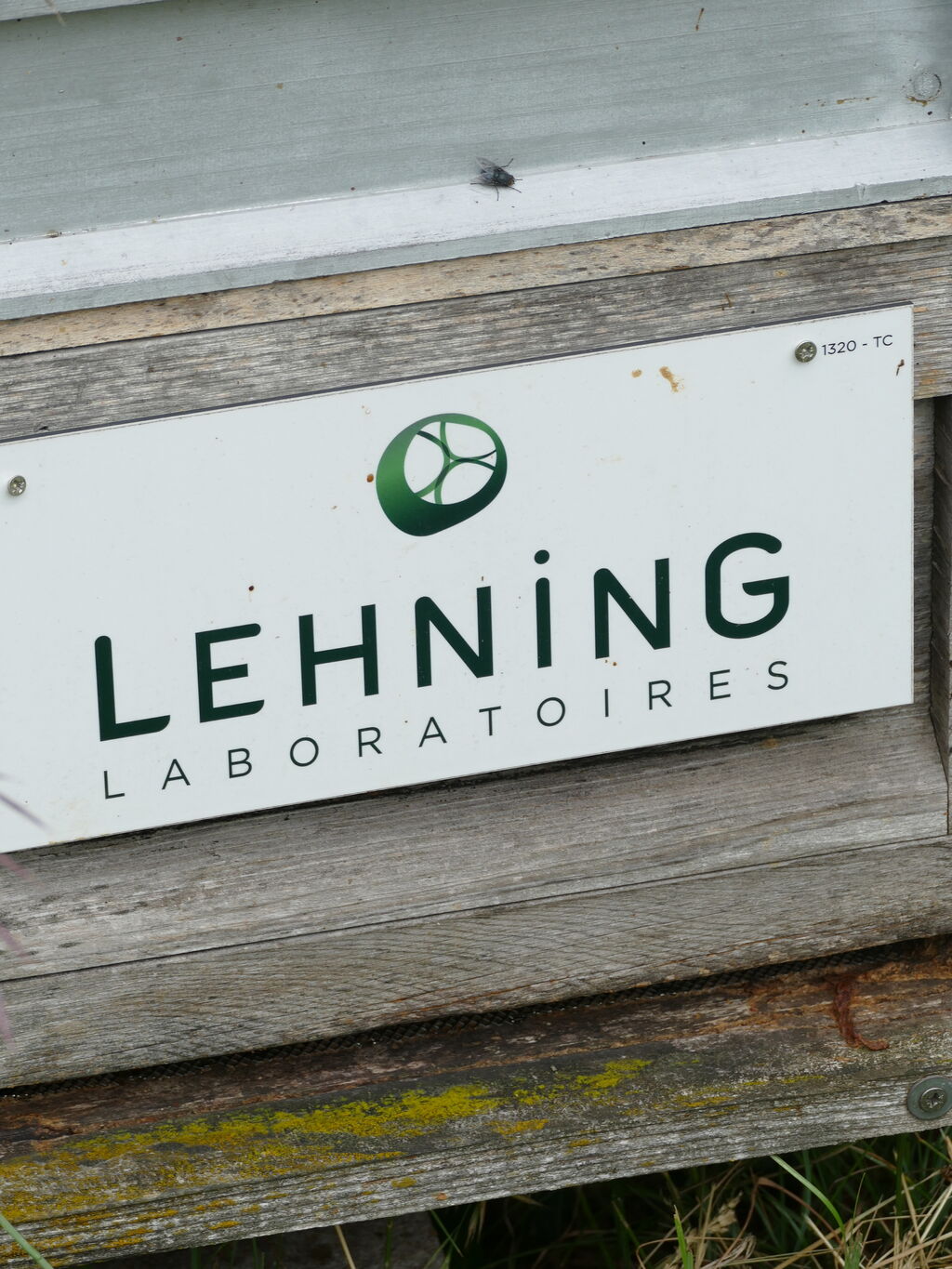 La ruche LABORATOIRES LEHNING 