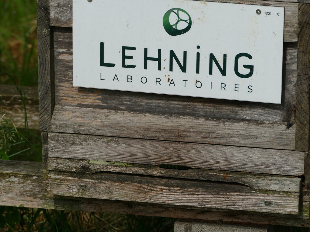 La ruche LABORATOIRES LEHNING 