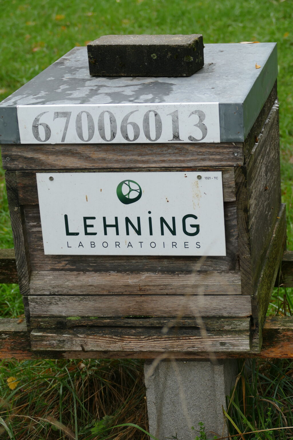 La ruche LABORATOIRES LEHNING