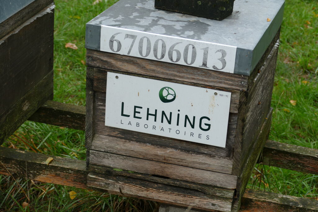 La ruche LABORATOIRES LEHNING