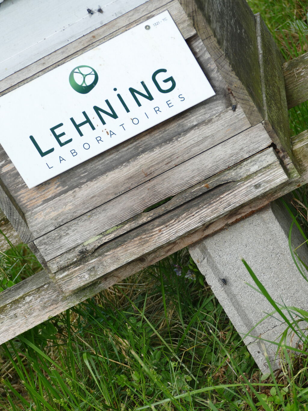 La ruche LABORATOIRES LEHNING 