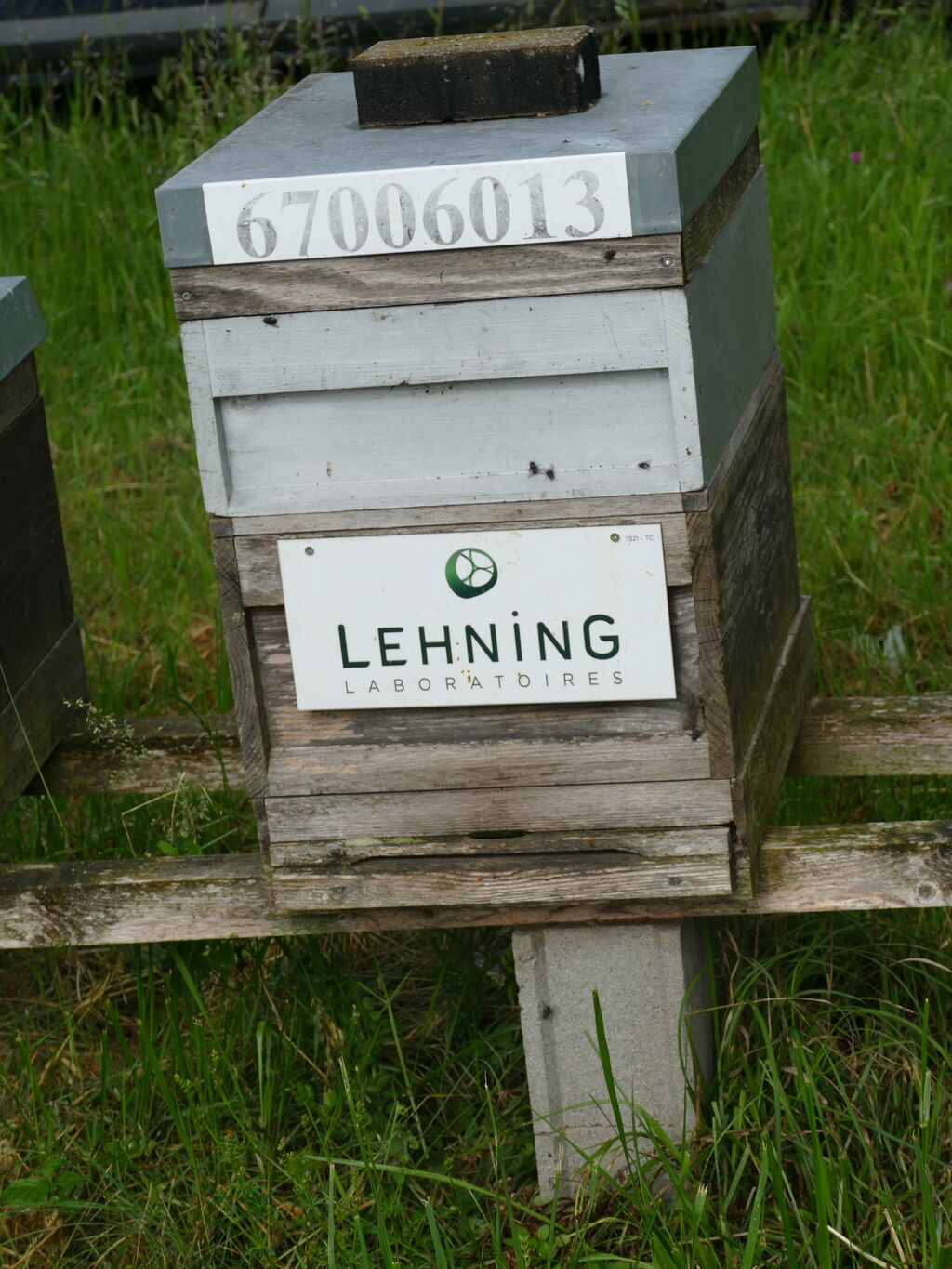 La ruche LABORATOIRES LEHNING 