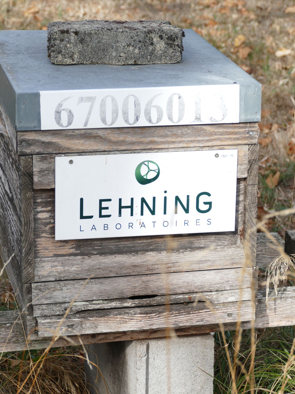 La ruche LABORATOIRES LEHNING