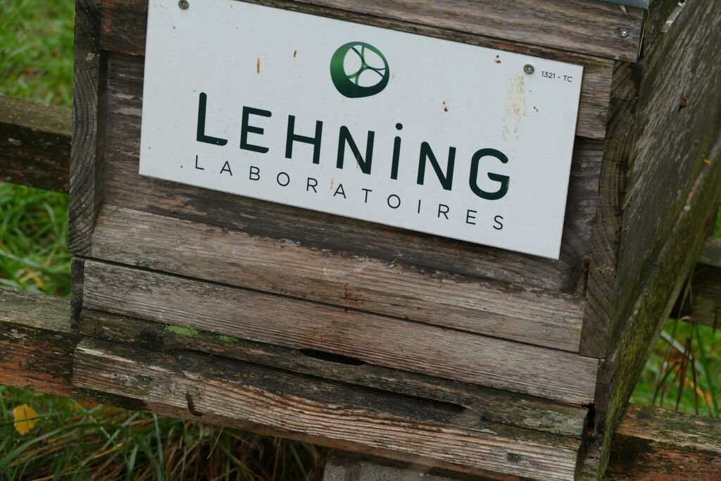 La ruche LABORATOIRES LEHNING