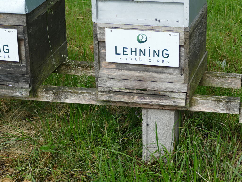 La ruche LABORATOIRES LEHNING 