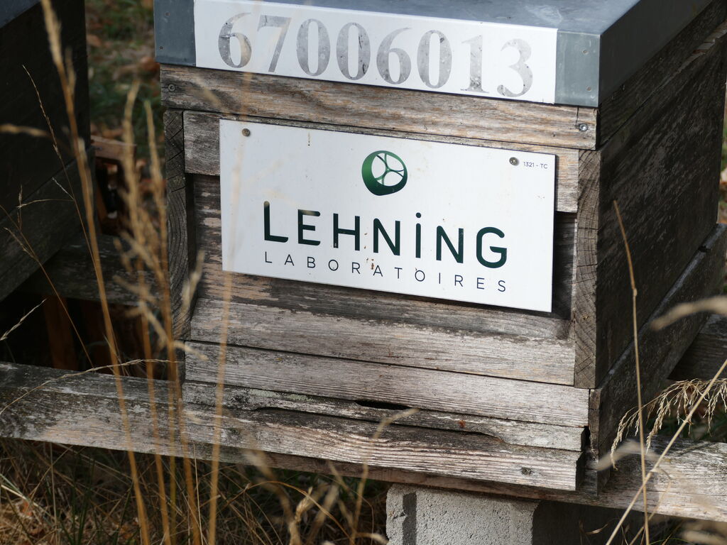 La ruche LABORATOIRES LEHNING