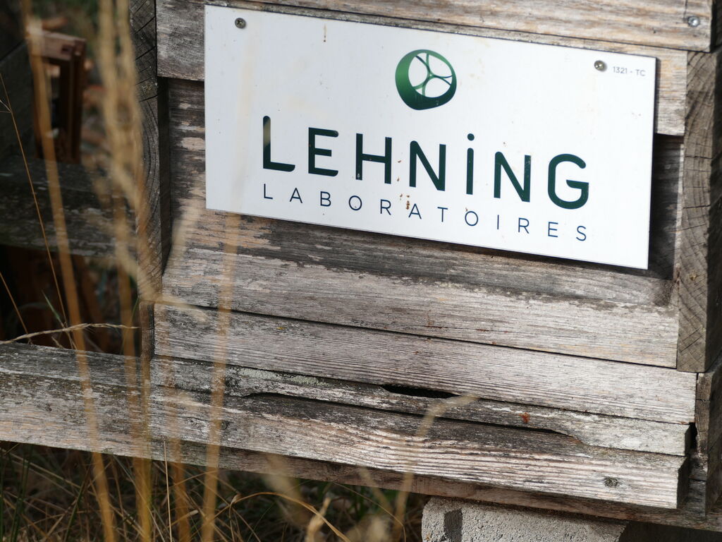 La ruche LABORATOIRES LEHNING