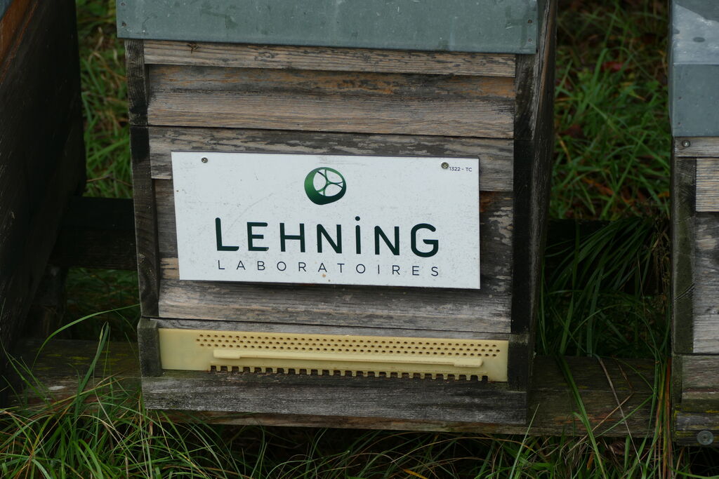 La ruche LABORATOIRES LEHNING