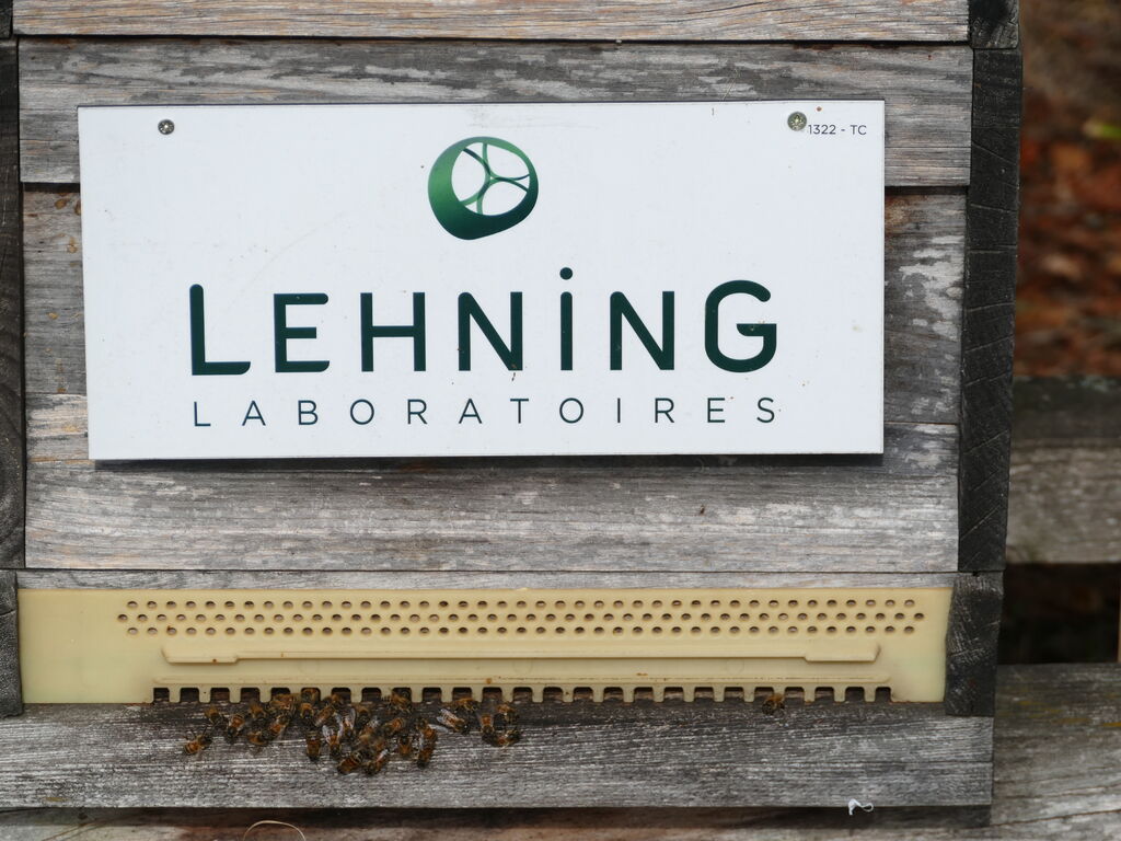 La ruche LABORATOIRES LEHNING