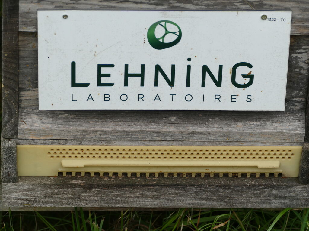La ruche LABORATOIRES LEHNING 