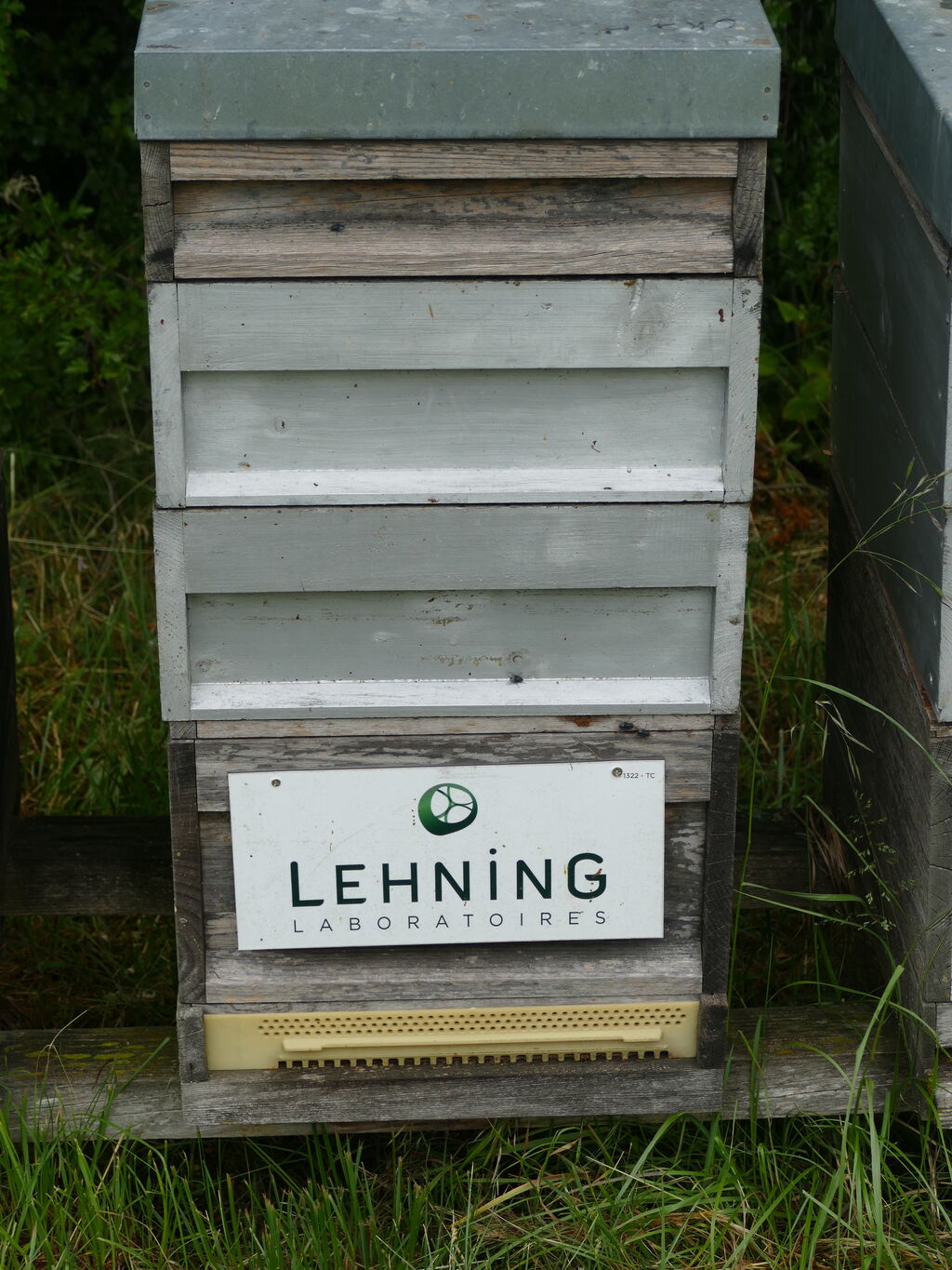 La ruche LABORATOIRES LEHNING 