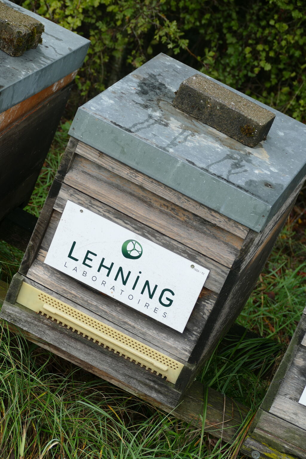 La ruche LABORATOIRES LEHNING