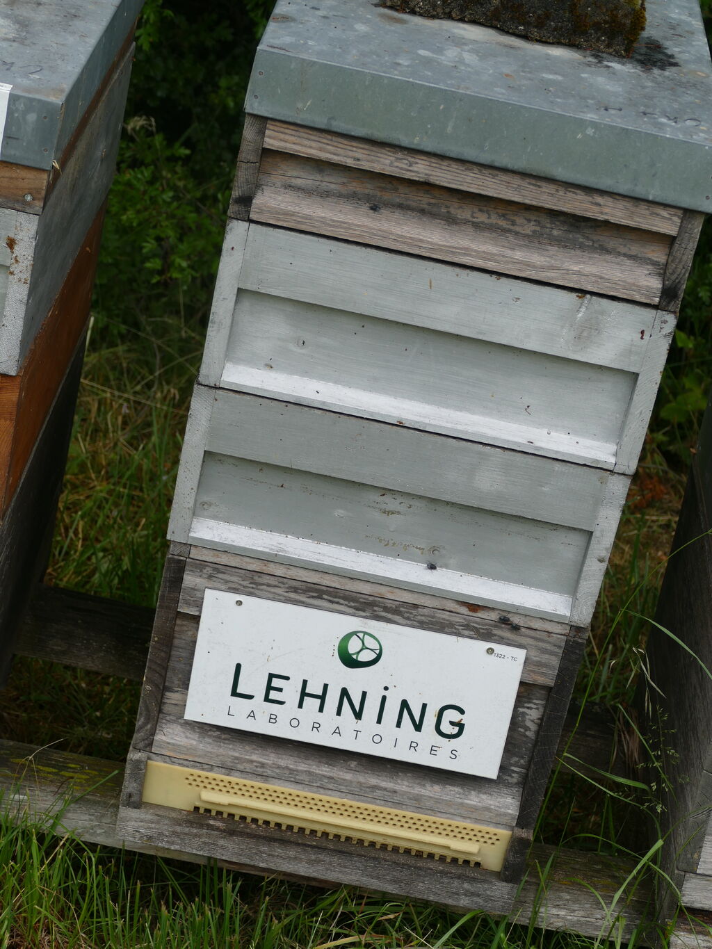 La ruche LABORATOIRES LEHNING 