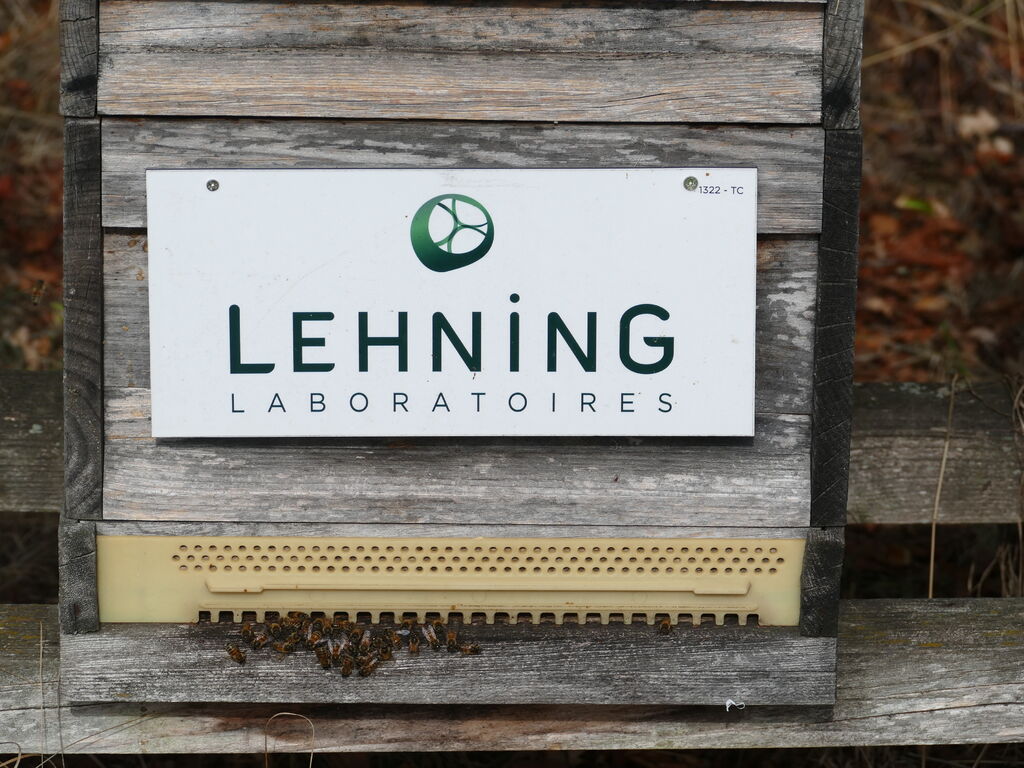 La ruche LABORATOIRES LEHNING