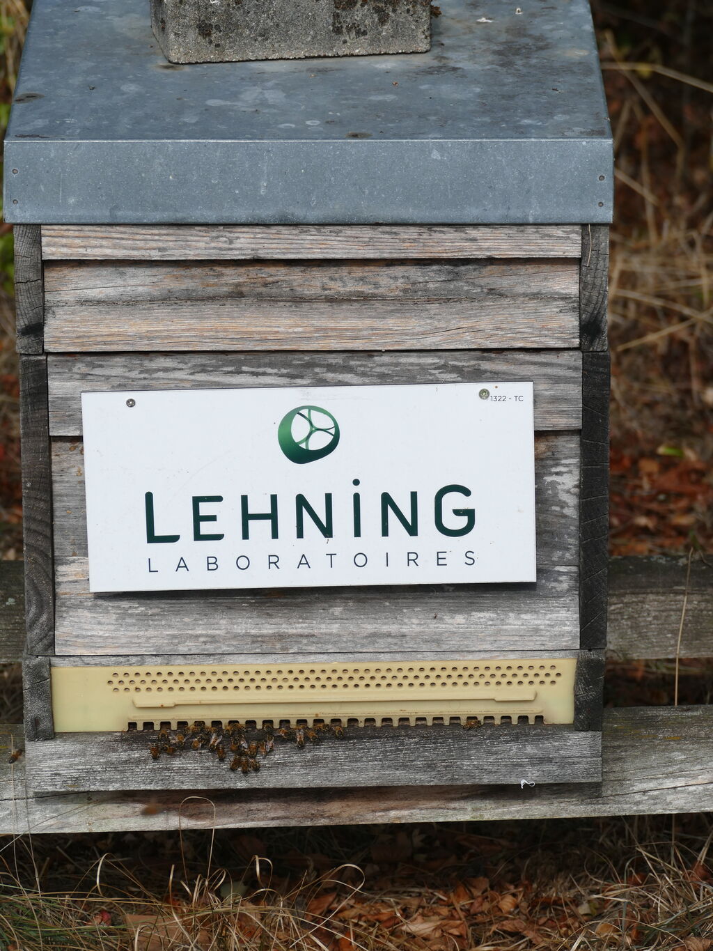 La ruche LABORATOIRES LEHNING