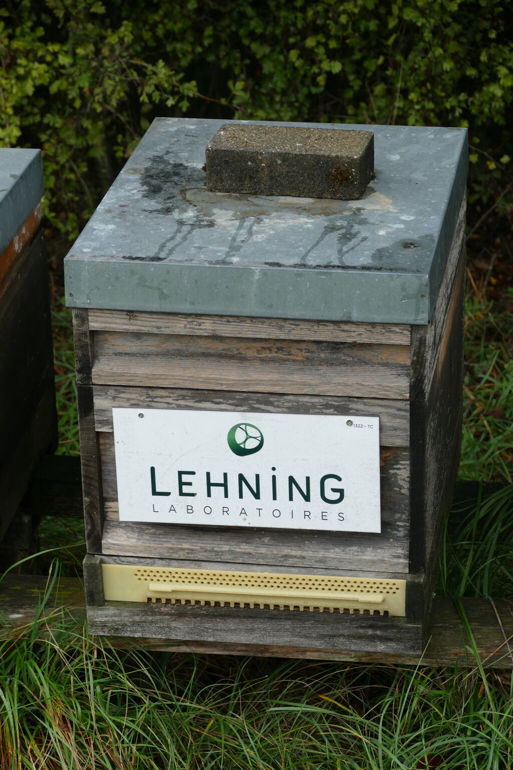 La ruche LABORATOIRES LEHNING