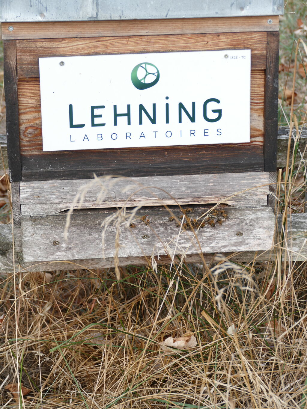 La ruche LABORATOIRES LEHNING