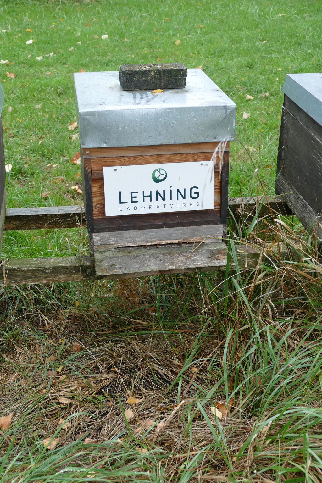 La ruche LABORATOIRES LEHNING