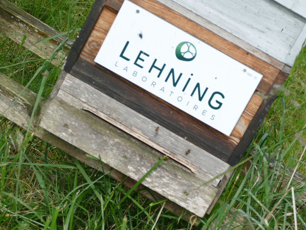 La ruche LABORATOIRES LEHNING 