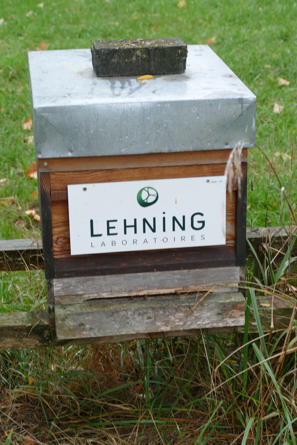 La ruche LABORATOIRES LEHNING