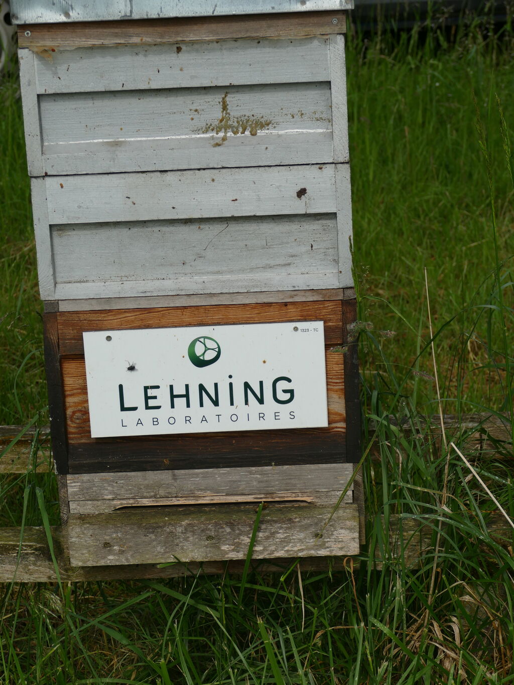 La ruche LABORATOIRES LEHNING 