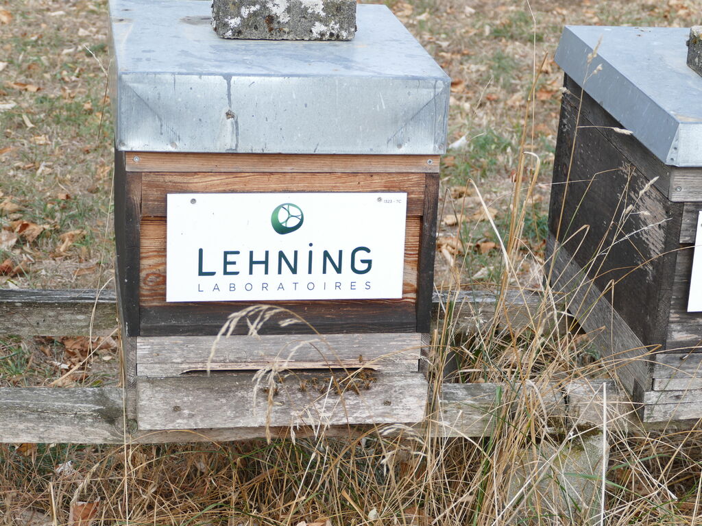 La ruche LABORATOIRES LEHNING