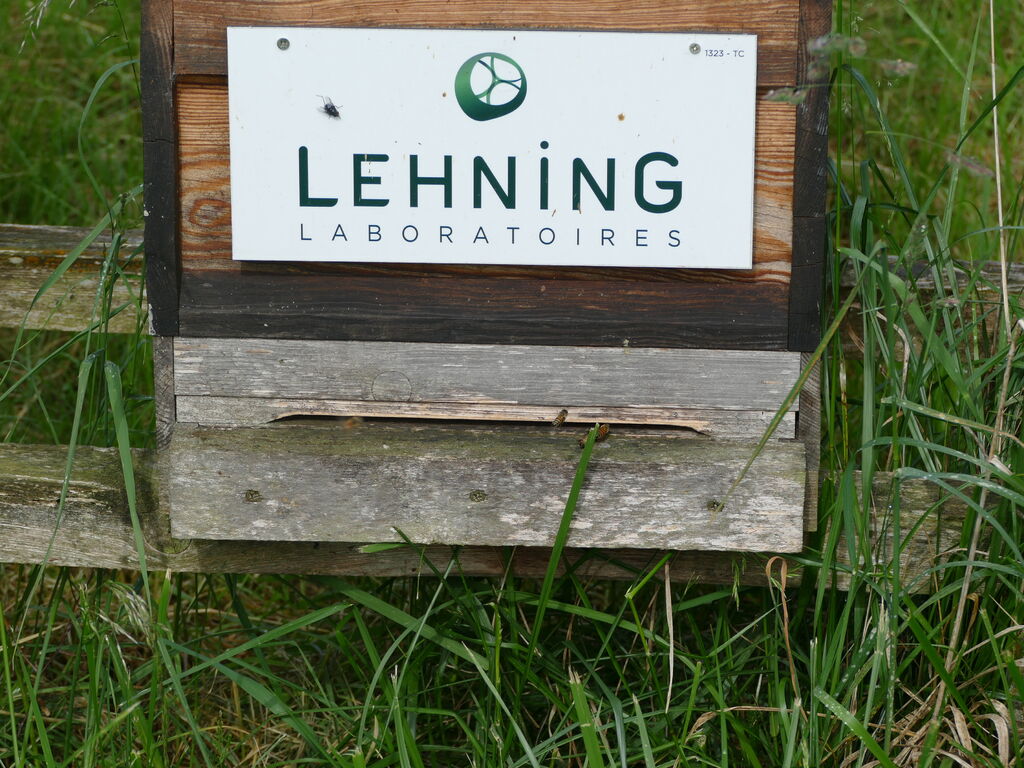La ruche LABORATOIRES LEHNING 