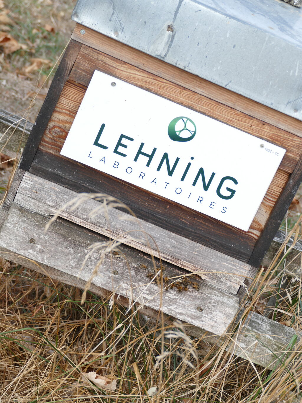 La ruche LABORATOIRES LEHNING