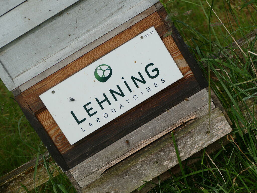 La ruche LABORATOIRES LEHNING 
