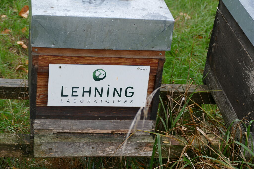 La ruche LABORATOIRES LEHNING