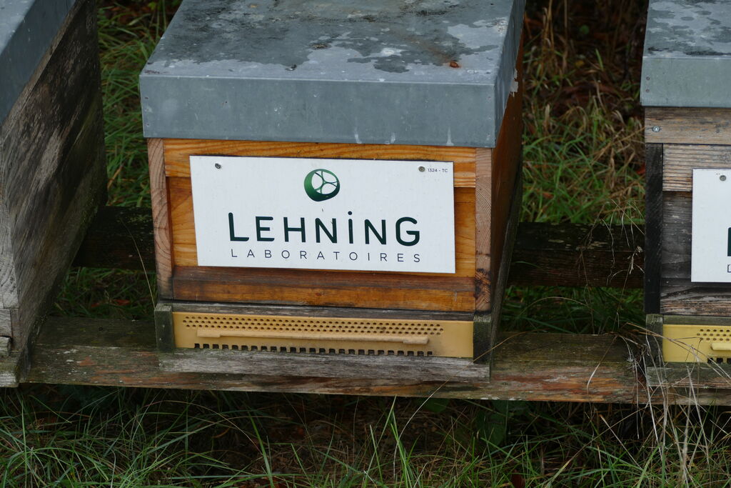 La ruche LABORATOIRES LEHNING