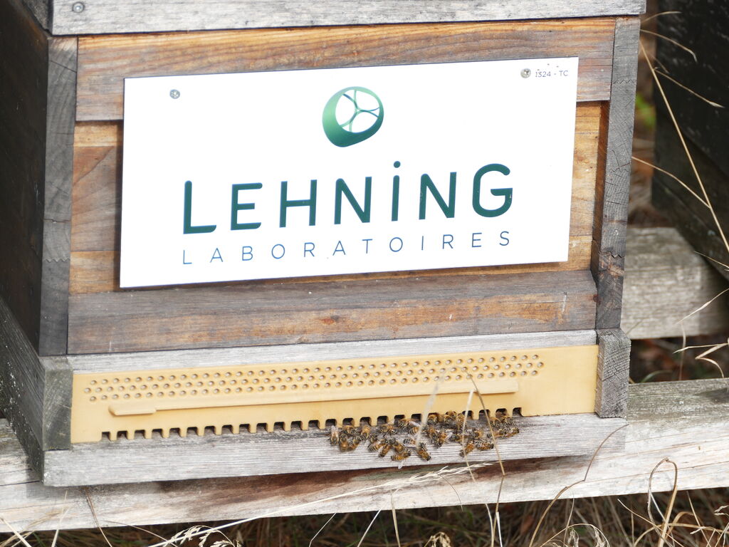 La ruche LABORATOIRES LEHNING