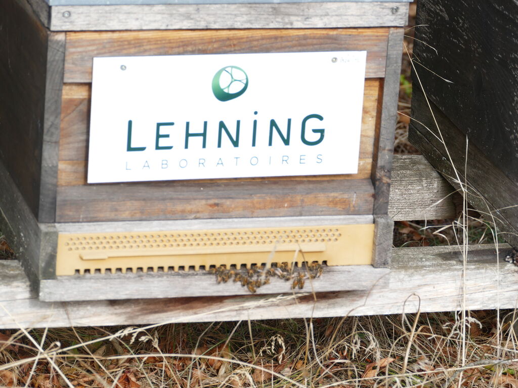La ruche LABORATOIRES LEHNING