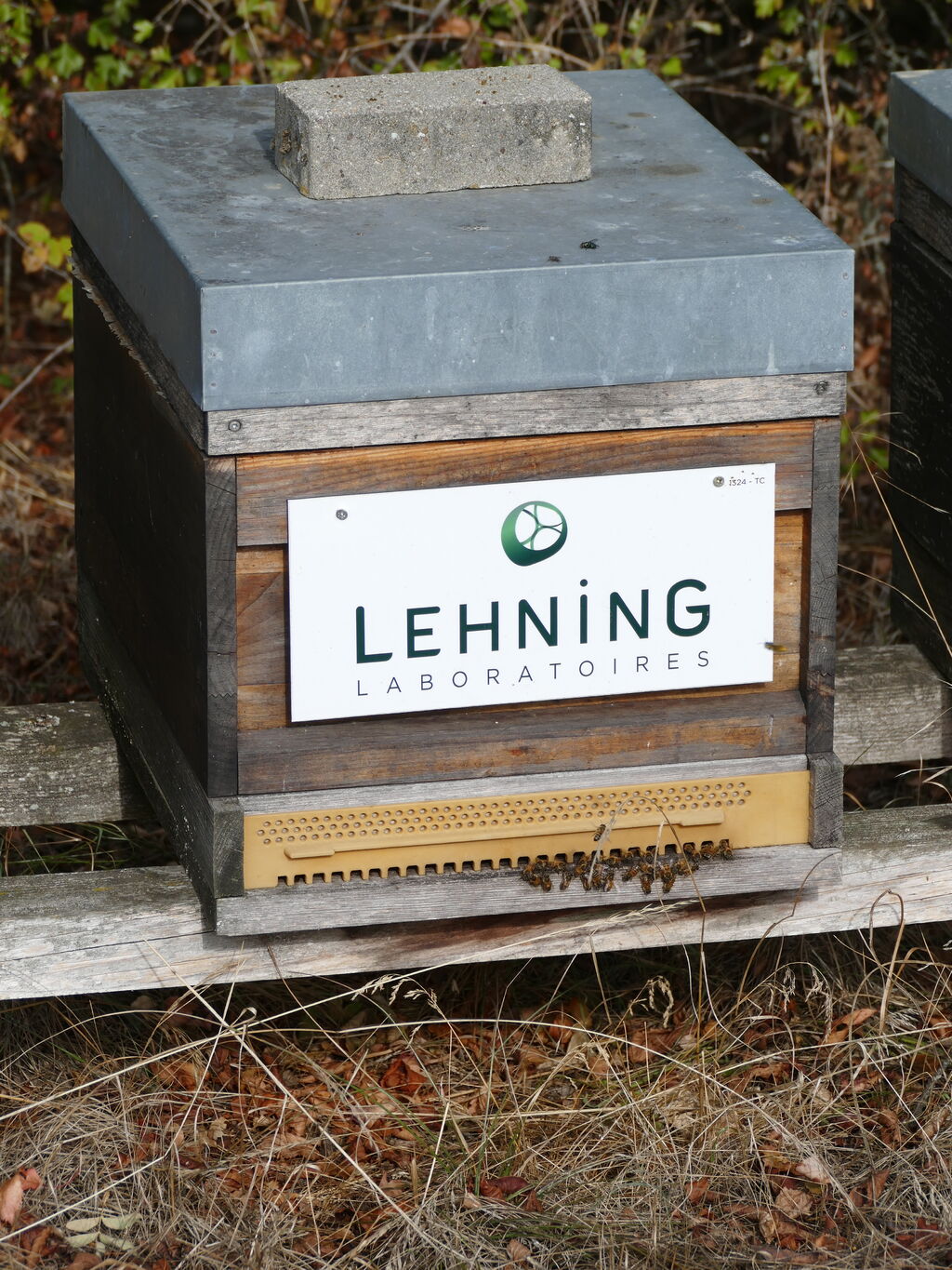 La ruche LABORATOIRES LEHNING