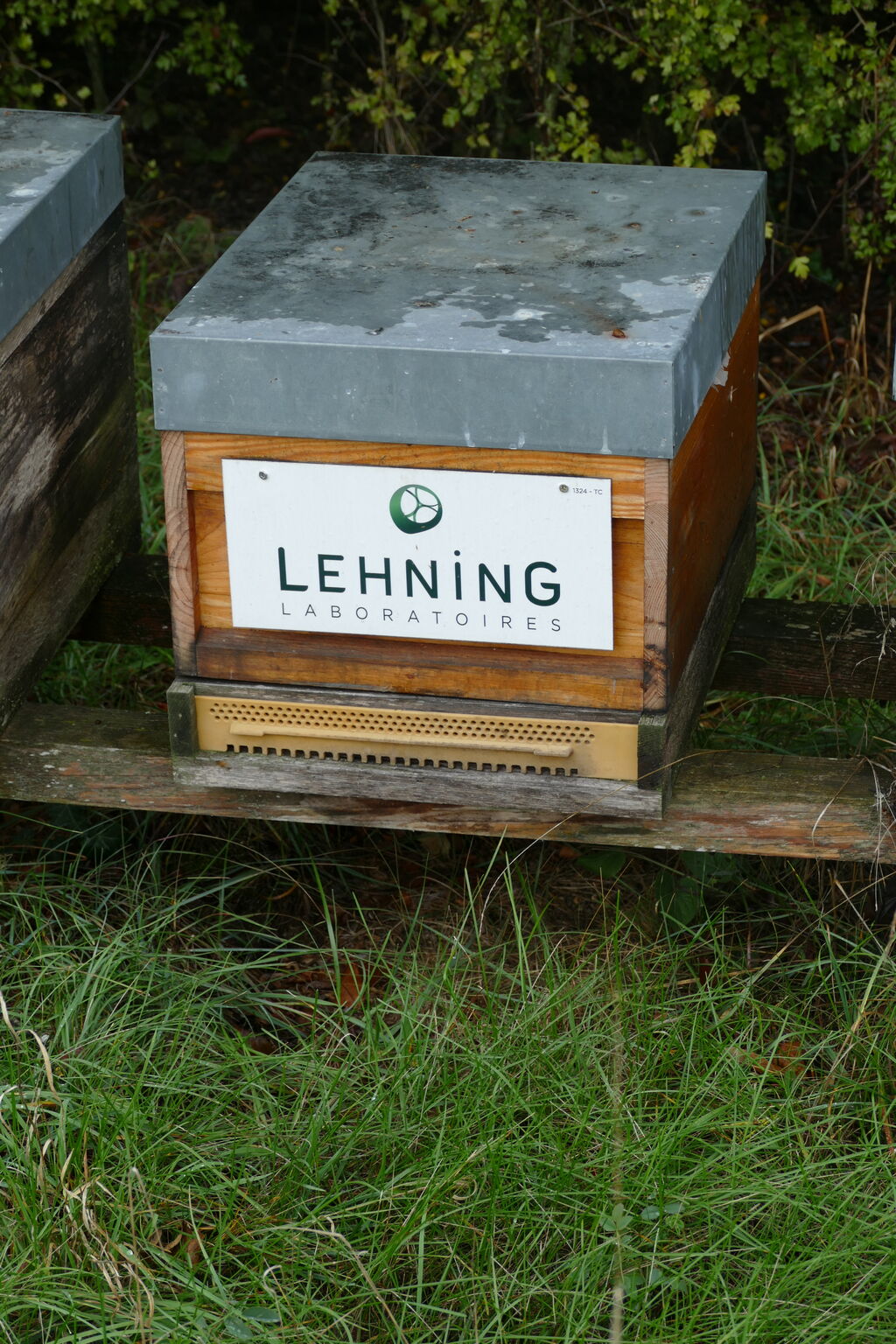 La ruche LABORATOIRES LEHNING