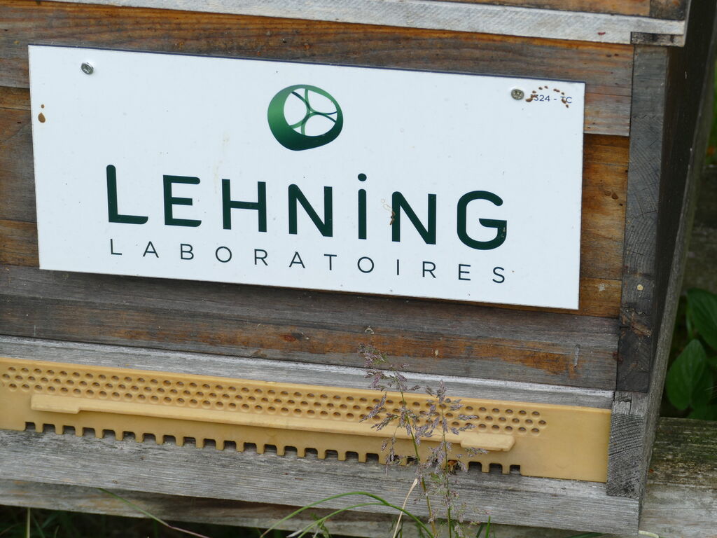 La ruche LABORATOIRES LEHNING 